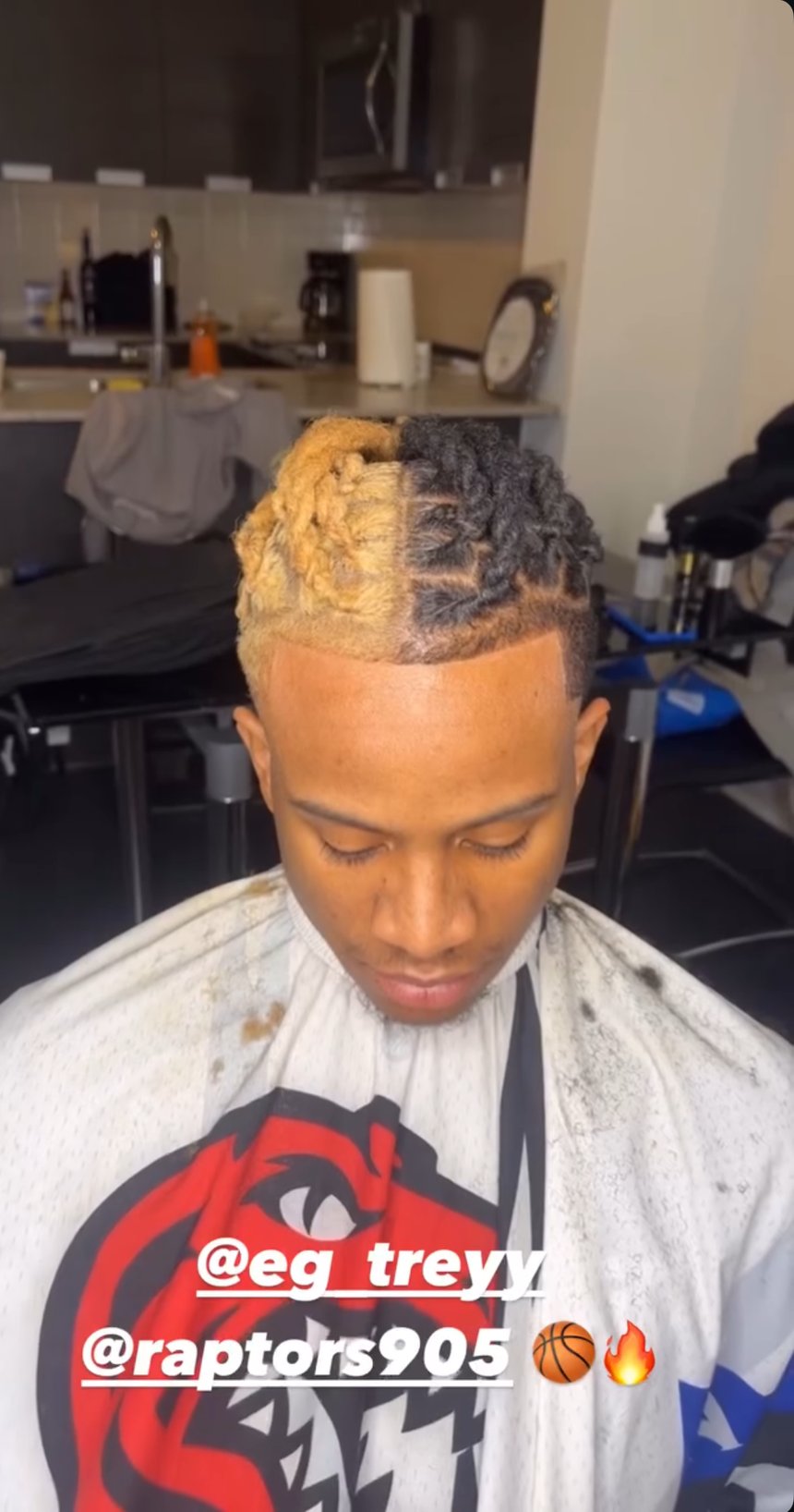 Coloured locs styled by Suchall Blends, story tagged @eg_treyy (Raptors 905)